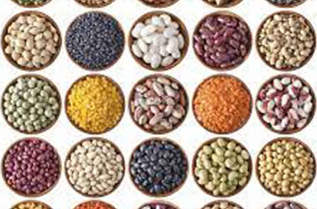 مزایای اقتصادی خوراک تینا دانه سپاهان