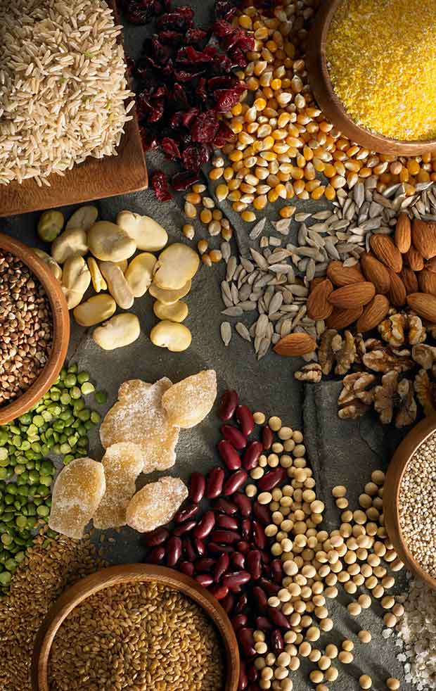 خوراک گوسفند و بز تینا دانه سپاهان