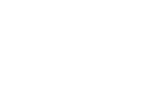 لوگوی تینا دانه سپاهان